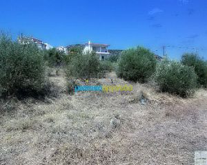 Οικόπεδο 11.500 τ.μ. για πώληση, Αργολίδα, Ασίνη-thumb-10