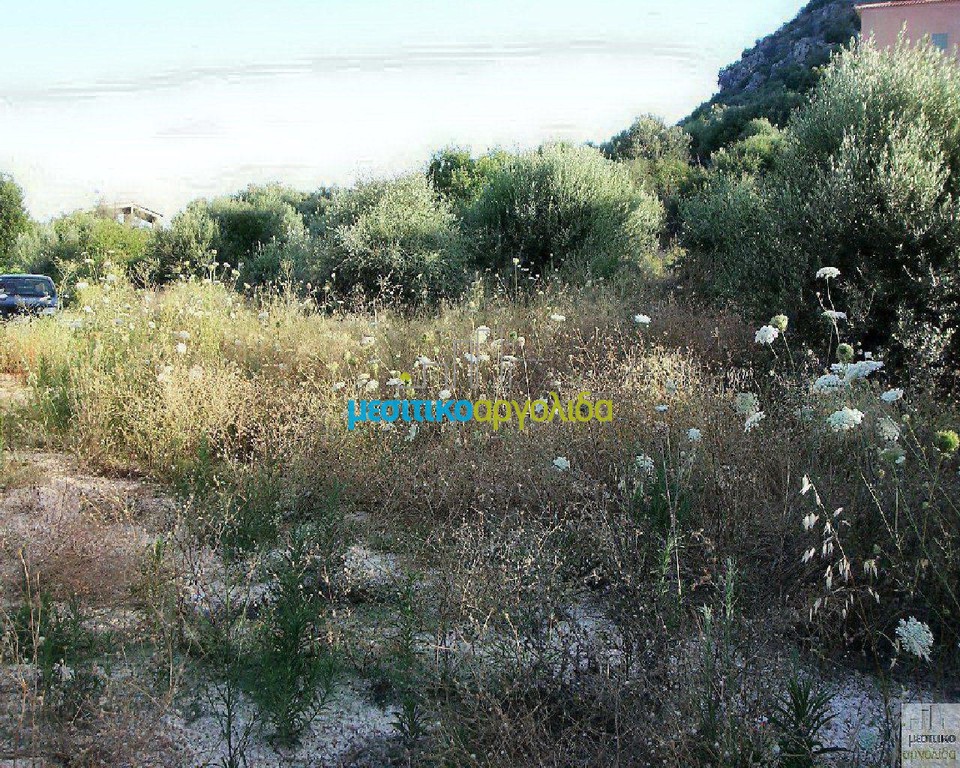 Οικόπεδο 11.500 τ.μ. προς πώληση, Ασίνη