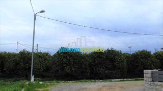 Οικόπεδο 565 τ.μ. για πώληση, Αργολίδα, Μιδέα-thumb-3