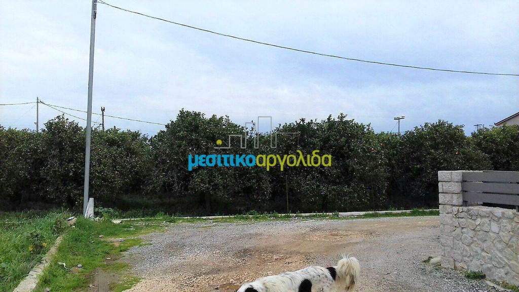 Οικόπεδο 565 τ.μ. προς πώληση, Δενδρά Μιδέας