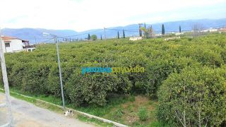Οικόπεδο 565 τ.μ. για πώληση, Αργολίδα, Μιδέα-thumb-6