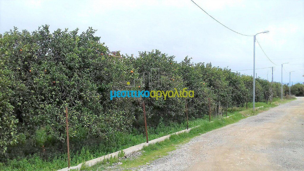 Οικόπεδο 565 τ.μ. προς πώληση, Δενδρά Μιδέας