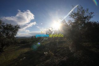 Αγροτεμάχια 2.789 τ.μ. για πώληση, Αργολίδα, Κουτσοπόδι-thumb-7