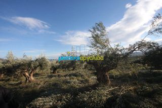 Αγροτεμάχια 2.789 τ.μ. για πώληση, Αργολίδα, Κουτσοπόδι-thumb-5