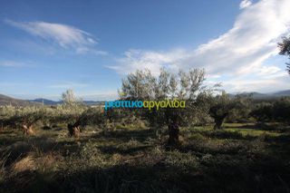 Αγροτεμάχια 2.789 τ.μ. για πώληση, Αργολίδα, Κουτσοπόδι-thumb-2