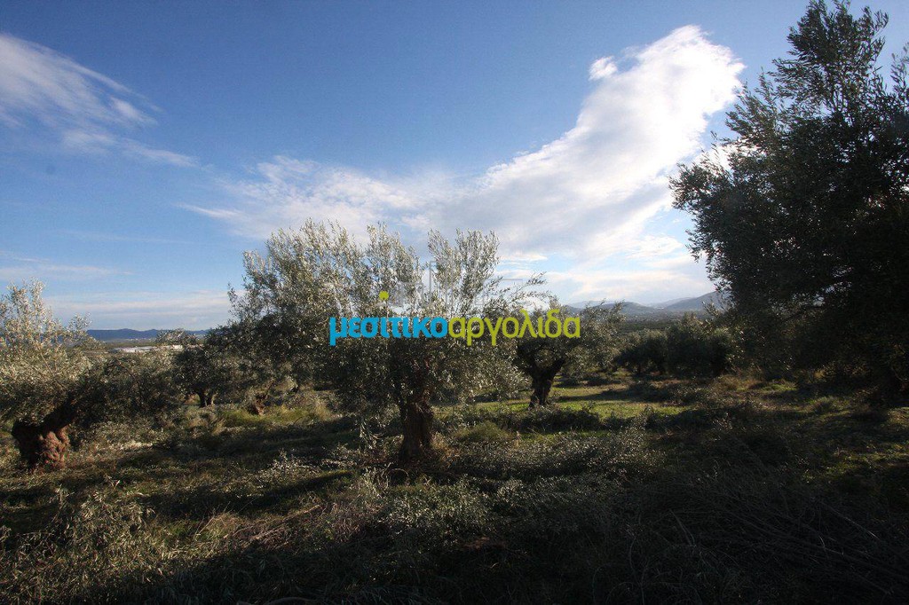 Αγροτεμάχια 2.789 τ.μ. προς πώληση, Κέντρο Κουτσοποδίου