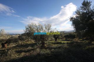 Αγροτεμάχια 2.789 τ.μ. για πώληση, Αργολίδα, Κουτσοπόδι-thumb-3