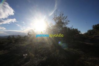 Αγροτεμάχια 2.789 τ.μ. για πώληση, Αργολίδα, Κουτσοπόδι-thumb-6