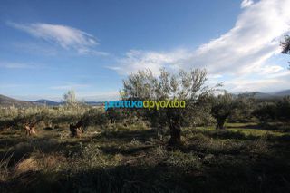 Αγροτεμάχια 2.789 τ.μ. για πώληση, Αργολίδα, Κουτσοπόδι-thumb-1