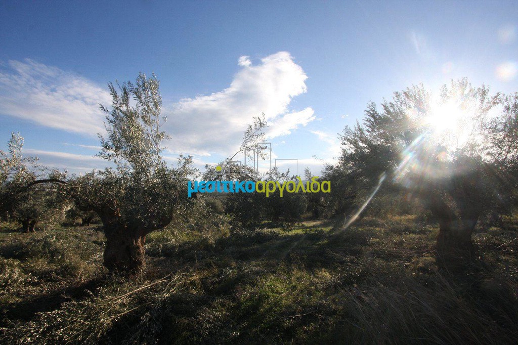 Αγροτεμάχια 2.789 τ.μ. προς πώληση, Κέντρο Κουτσοποδίου