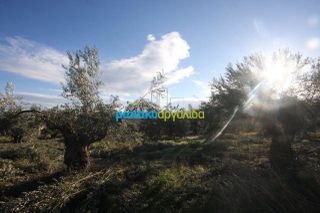 Αγροτεμάχια 2.789 τ.μ. για πώληση, Αργολίδα, Κουτσοπόδι-thumb-4