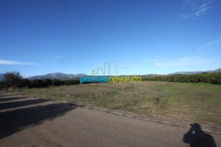 Αγροτεμάχια 3.846 τ.μ. για πώληση, Αργολίδα, Κουτσοπόδι-thumb-6