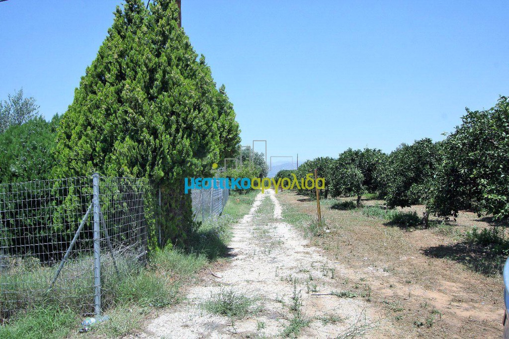 Οικόπεδο 501 τ.μ. για πώληση, Αργολίδα, Μιδέα