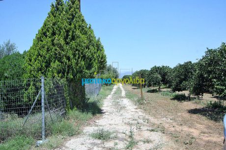 Οικόπεδο 501 τ.μ. για πώληση