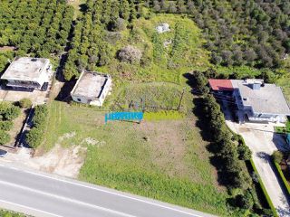 Οικόπεδο 8.020 τ.μ. για ενοικίαση, Αργολίδα, Άργος-thumb-5
