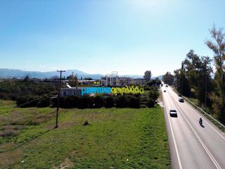 Οικόπεδο 8.020 τ.μ. για ενοικίαση, Αργολίδα, Άργος-thumb-8