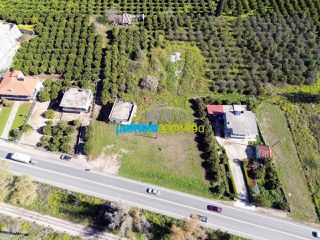 Οικόπεδο 8.020 τ.μ. για ενοικίαση, Αργολίδα, Άργος-thumb-4