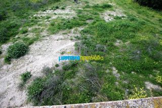 Οικόπεδο 8.020 τ.μ. για ενοικίαση, Αργολίδα, Άργος-thumb-15