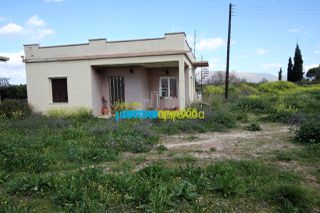 Οικόπεδο 8.020 τ.μ. για ενοικίαση, Αργολίδα, Άργος-thumb-18