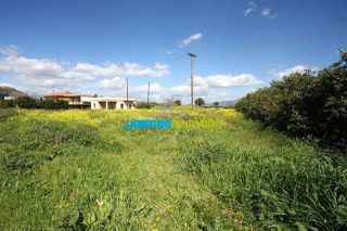 Οικόπεδο 8.020 τ.μ. για ενοικίαση, Αργολίδα, Άργος-thumb-14