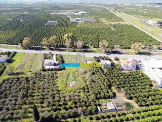 Οικόπεδο 8.020 τ.μ. για ενοικίαση, Αργολίδα, Άργος-thumb-3