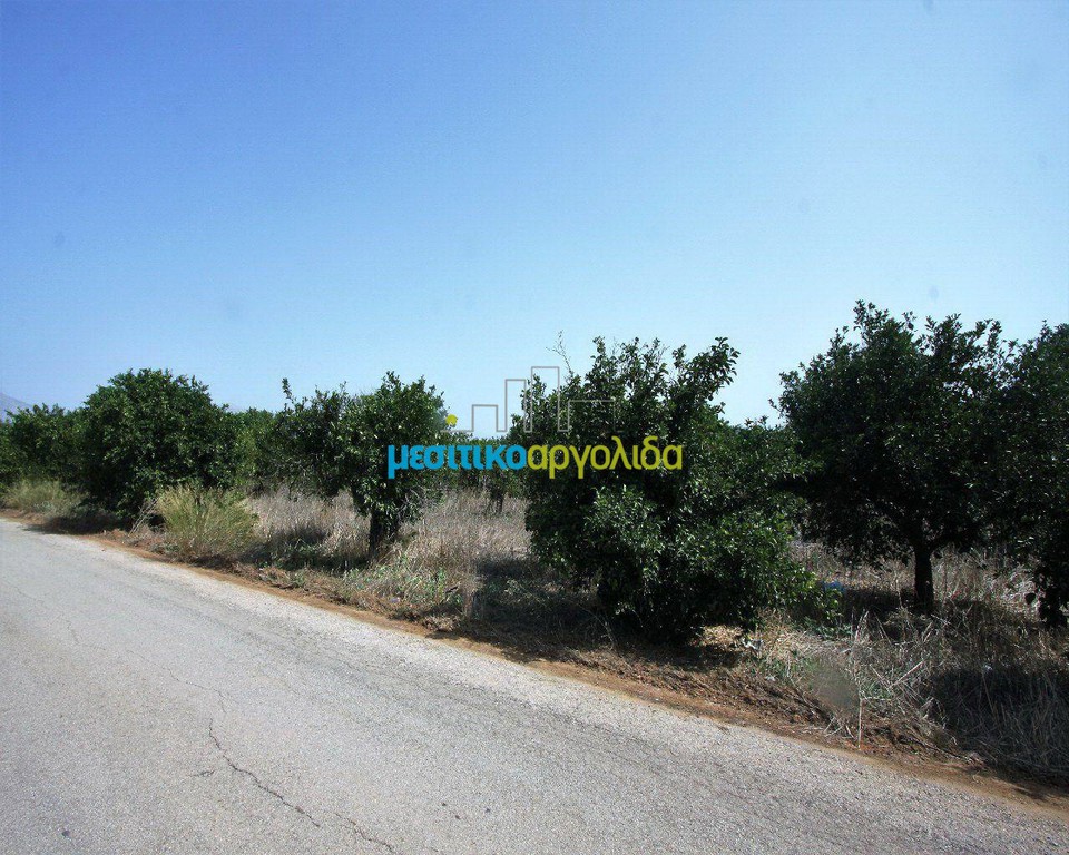 Αγροτεμάχια 6.266 τ.μ. προς πώληση, Κέντρο Κουτσοποδίου
