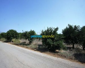 Αγροτεμάχια 6.266 τ.μ. για πώληση, Αργολίδα, Κουτσοπόδι-thumb-4