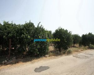 Αγροτεμάχια 6.266 τ.μ. για πώληση, Αργολίδα, Κουτσοπόδι-thumb-10