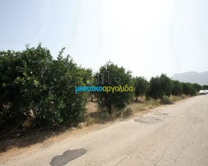Αγροτεμάχια 6.266 τ.μ. για πώληση, Αργολίδα, Κουτσοπόδι-thumb-9