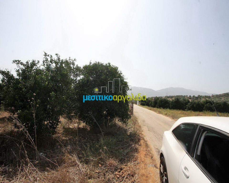 Αγροτεμάχια 6.266 τ.μ. προς πώληση, Κέντρο Κουτσοποδίου