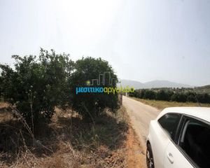 Αγροτεμάχια 6.266 τ.μ. για πώληση, Αργολίδα, Κουτσοπόδι-thumb-1