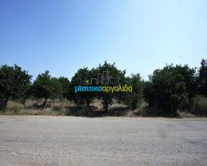 Αγροτεμάχια 6.266 τ.μ. για πώληση, Αργολίδα, Κουτσοπόδι-thumb-6