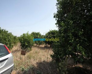 Αγροτεμάχια 6.266 τ.μ. για πώληση, Αργολίδα, Κουτσοπόδι-thumb-2