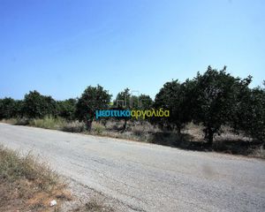 Αγροτεμάχια 6.266 τ.μ. για πώληση, Αργολίδα, Κουτσοπόδι-thumb-8