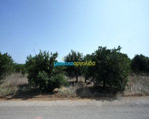 Αγροτεμάχια 6.266 τ.μ. για πώληση, Αργολίδα, Κουτσοπόδι-thumb-3