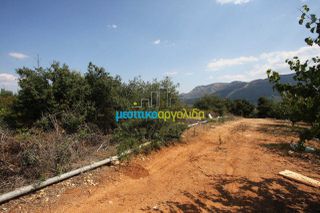 Αγροτεμάχια 14.000 τ.μ. για πώληση, Αργολίδα, Κουτσοπόδι-thumb-6