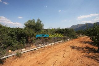 Αγροτεμάχια 14.000 τ.μ. για πώληση, Αργολίδα, Κουτσοπόδι-thumb-5