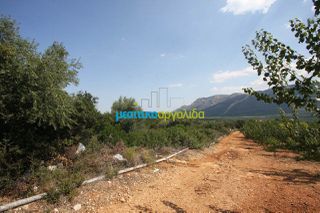 Αγροτεμάχια 14.000 τ.μ. για πώληση, Αργολίδα, Κουτσοπόδι-thumb-1