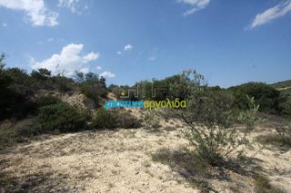 Αγροτεμάχια 14.000 τ.μ. για πώληση, Αργολίδα, Κουτσοπόδι-thumb-11