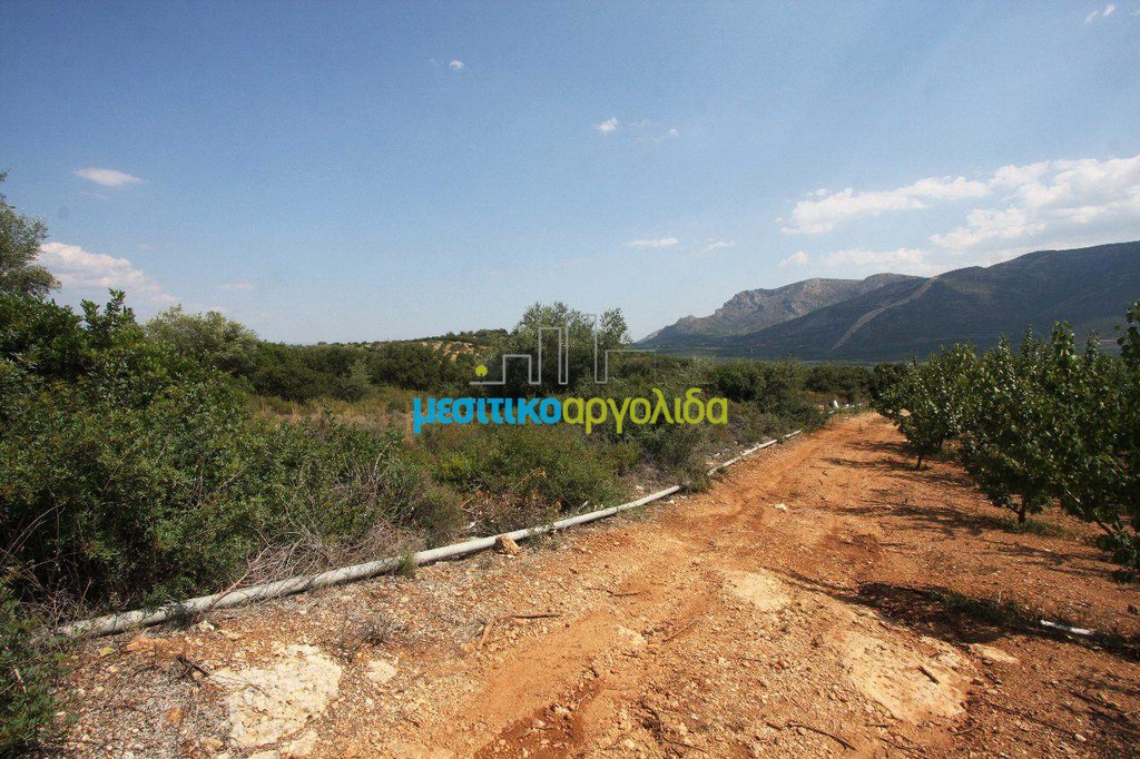 Αγροτεμάχια 14.000 τ.μ. προς πώληση, Πανόραμα Κουτσοποδίου