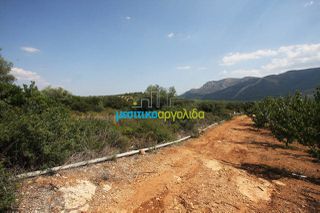 Αγροτεμάχια 14.000 τ.μ. για πώληση, Αργολίδα, Κουτσοπόδι-thumb-2