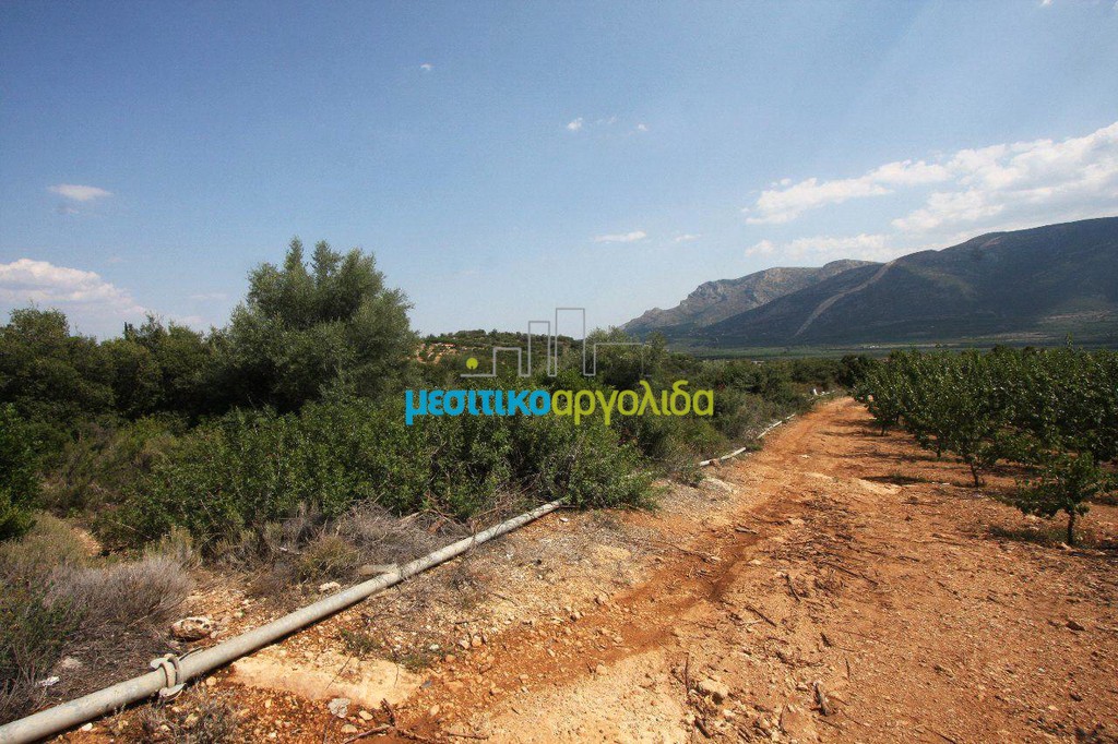 Αγροτεμάχια 14.000 τ.μ. προς πώληση, Πανόραμα Κουτσοποδίου