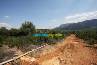 Αγροτεμάχια 14.000 τ.μ. για πώληση, Αργολίδα, Κουτσοπόδι-thumb-3