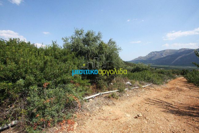 Αγροτεμάχια 14.000 τ.μ. για πώληση, Αργολίδα, Κουτσοπόδι