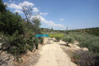 Αγροτεμάχια 14.000 τ.μ. για πώληση, Αργολίδα, Κουτσοπόδι-thumb-9
