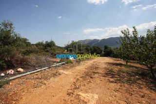 Αγροτεμάχια 14.000 τ.μ. για πώληση, Αργολίδα, Κουτσοπόδι-thumb-4