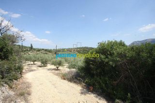 Αγροτεμάχια 14.000 τ.μ. για πώληση, Αργολίδα, Κουτσοπόδι-thumb-8