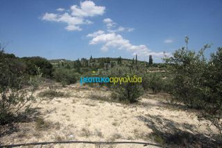Αγροτεμάχια 14.000 τ.μ. για πώληση, Αργολίδα, Κουτσοπόδι-thumb-12