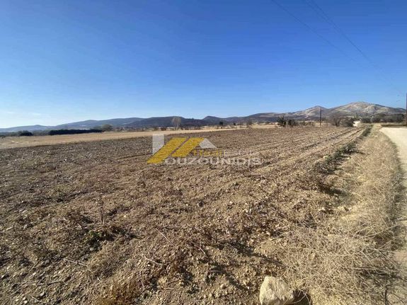 Αγροτεμάχια 4.000 τ.μ. για πώληση, Εβρος, Αλεξανδρούπολη