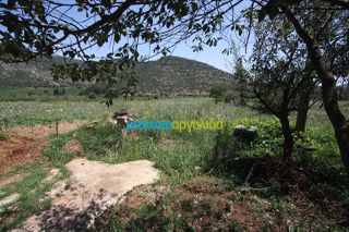 Οικόπεδο 8.000 τ.μ. για πώληση, Κορινθία, Νεμέα-thumb-10